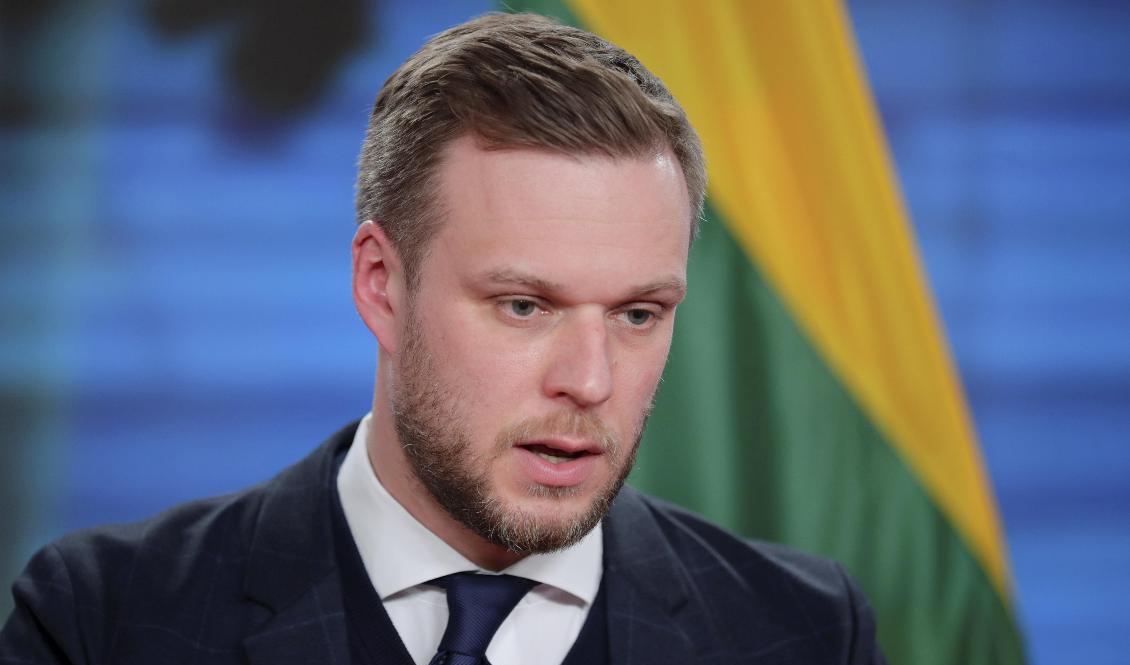 Litauens utrikesminister Gabrielius Landsbergis. Arkivbild. Foto: Hannibal Hanschke/Pool via AP/TT