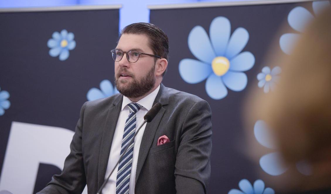 Sverigedemokraternas partiledare Jimmie Åkesson vill strypa bidragen för personer som inte är svenska medborgare. Arkivbild. Foto: Amir Nabizadeh/TT
