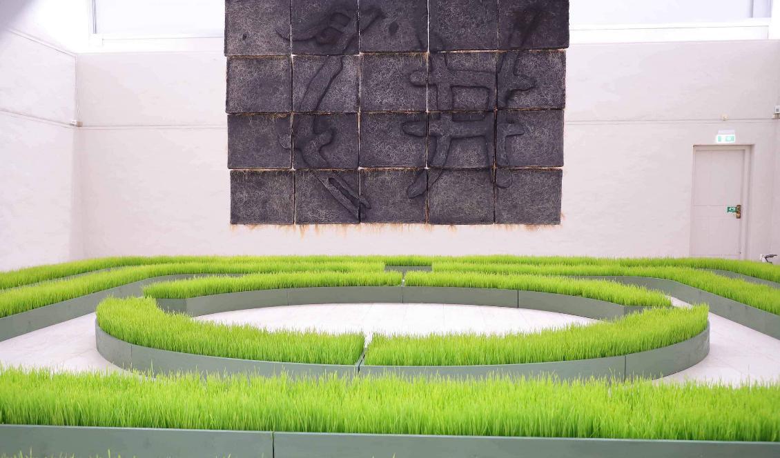 
Utställningens första del, Trädgården, består av en vetegräslabyrint. Gräset sägs vara hälsosamt och innehålla många vitaminer och mineraler. Foto: Chuyia Chia                                            