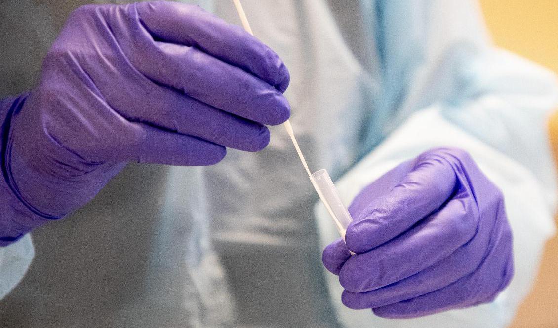 Från och med tisdag införs snabbtester på samtliga kommunala gymnasieskolor i Stockholm. Arkivbild. Foto: Adam Ihse/TT
