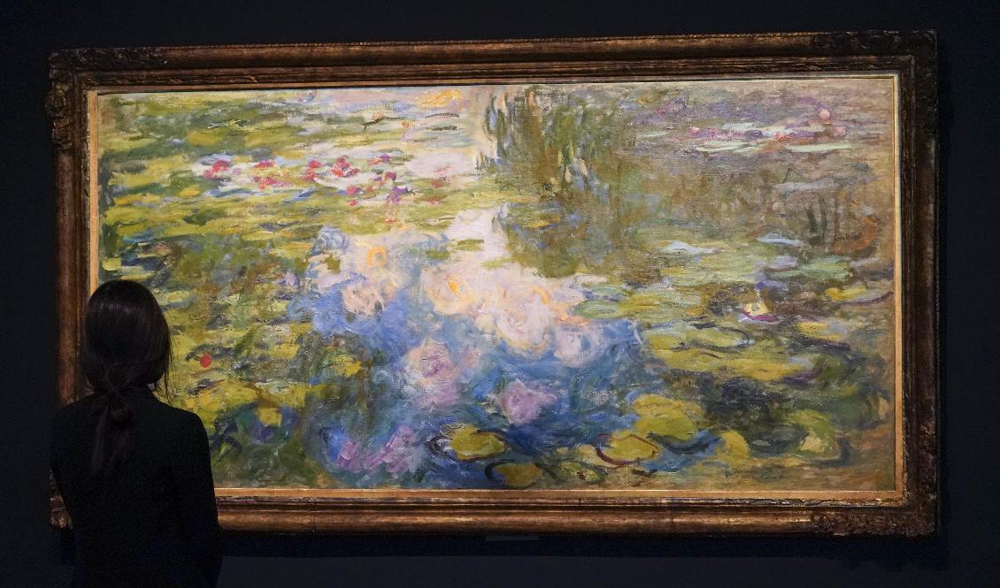 
Claude Monet's "Le Bassin aux nymphéas". Arkivbild. Foto: Mary Altaffer/AP/TT                                            