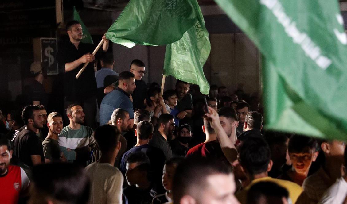 Palestinier med Hamas gröna flagga firar eldupphöret i Gaza stad. Foto: Adel Hana/AP/TT