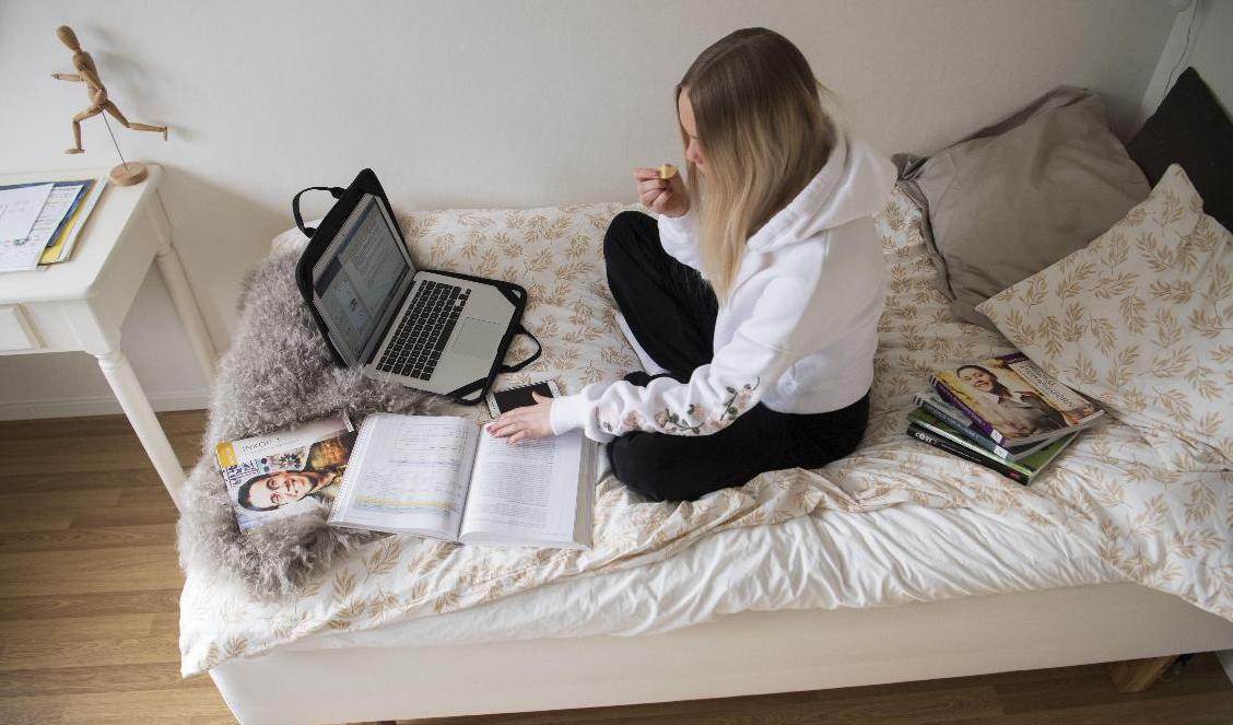 Hemundervisningen under corona har inneburit hög risk för kunskapstapp. Arkivbild. Foto: Fredrik Sandberg/TT