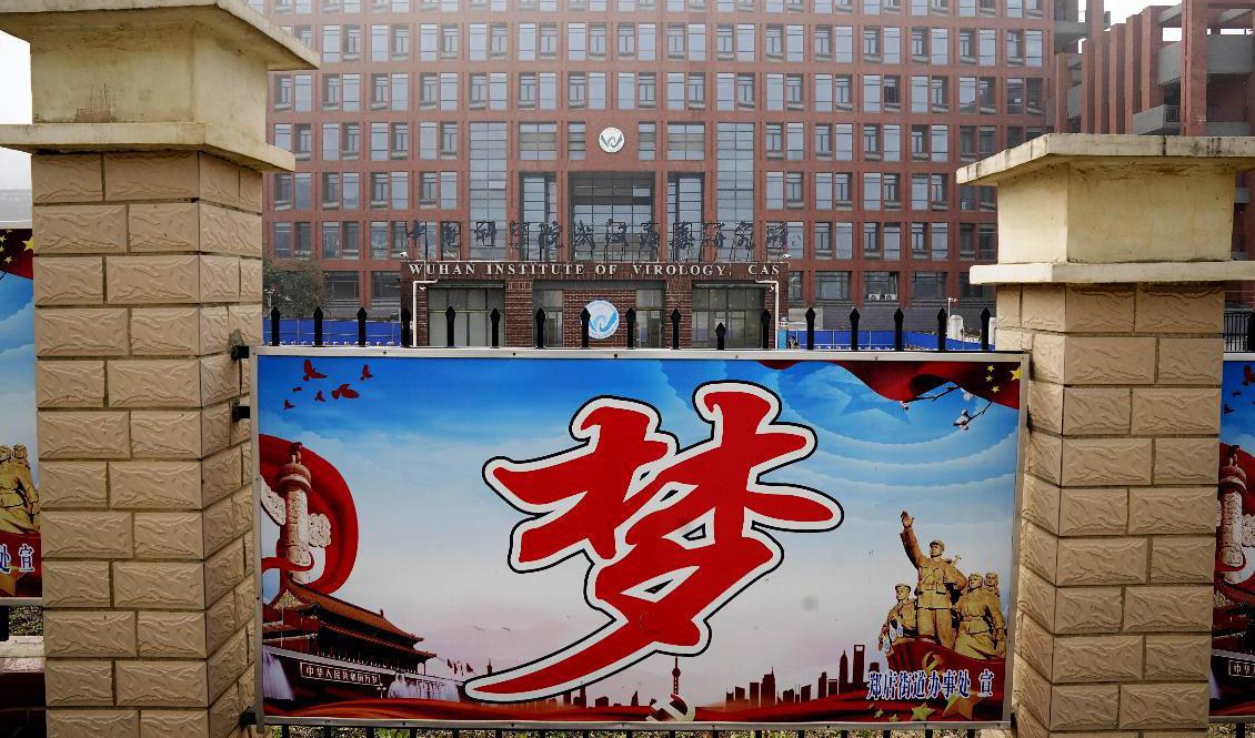 Wuhans virologiska institut – föremål för uppgifter om när coronaspridningen egentligen kom i gång. Arkivbild. Foto: Ng Han Guan/AP/TT