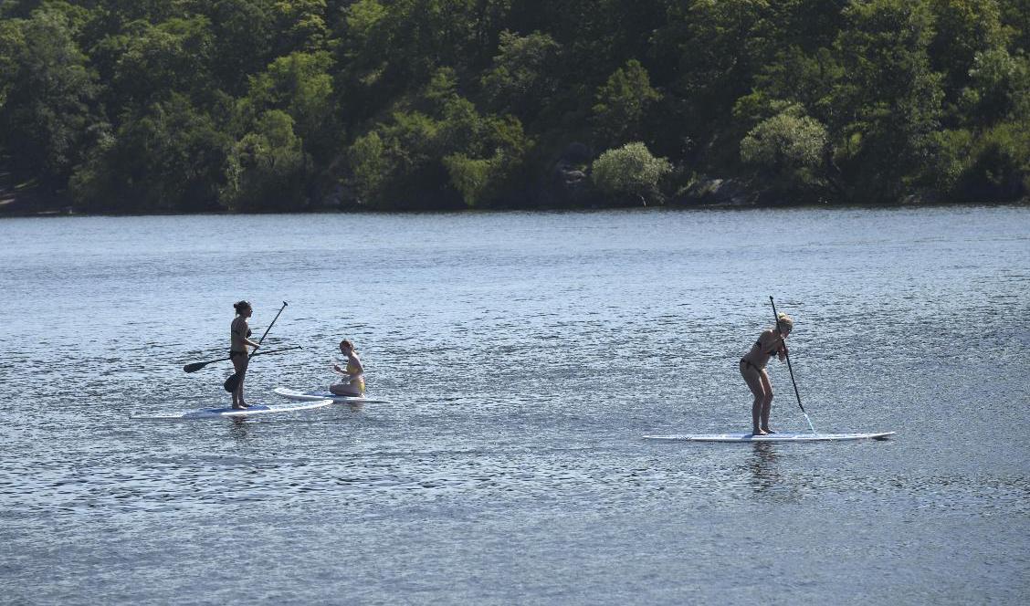 I södra Sverige håller värmen i sig över helgen medan regn drar med sig svalare temperaturer i norr. Arkivbild. Foto: Fredrik Sandberg/TT