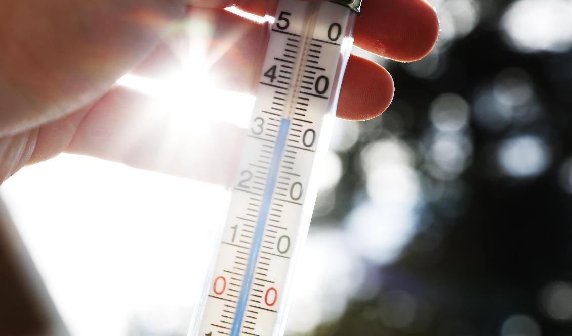 Nationaldagen 6 juni var varmt i hela landet., högst temperatur hade småländska Målilla med 28,2 grader. Arkivbild. Foto: Erik Johansen