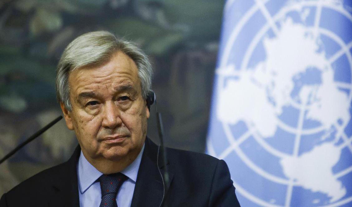 Ett enigt säkerhetsråd rekommenderade António Guterres att sitta kvar en till mandatperiod. Arkivbild. Foto: Maxim Shemetov/AP/TT