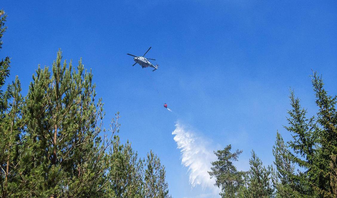 En skogsbrand rasar norr om Mora. Bland annat deltar två helikoptrar i släckningsarbetet. Bilden är tagen när en helikopter vattenbombar en skogsbrand vid ett annat tillfälle. Foto: Suvad Mrkonjic/TT