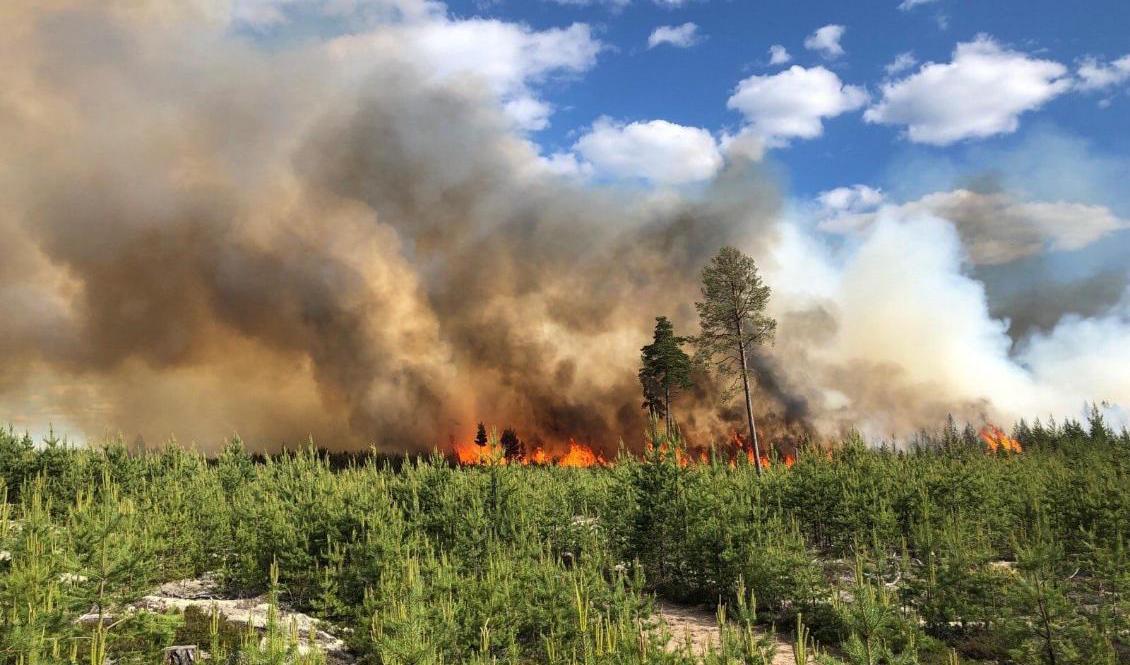 Förra veckan bröt en skogsbrand ut norr om Mora. Arkivbild. Foto: Brandkåren Norra Dalarna