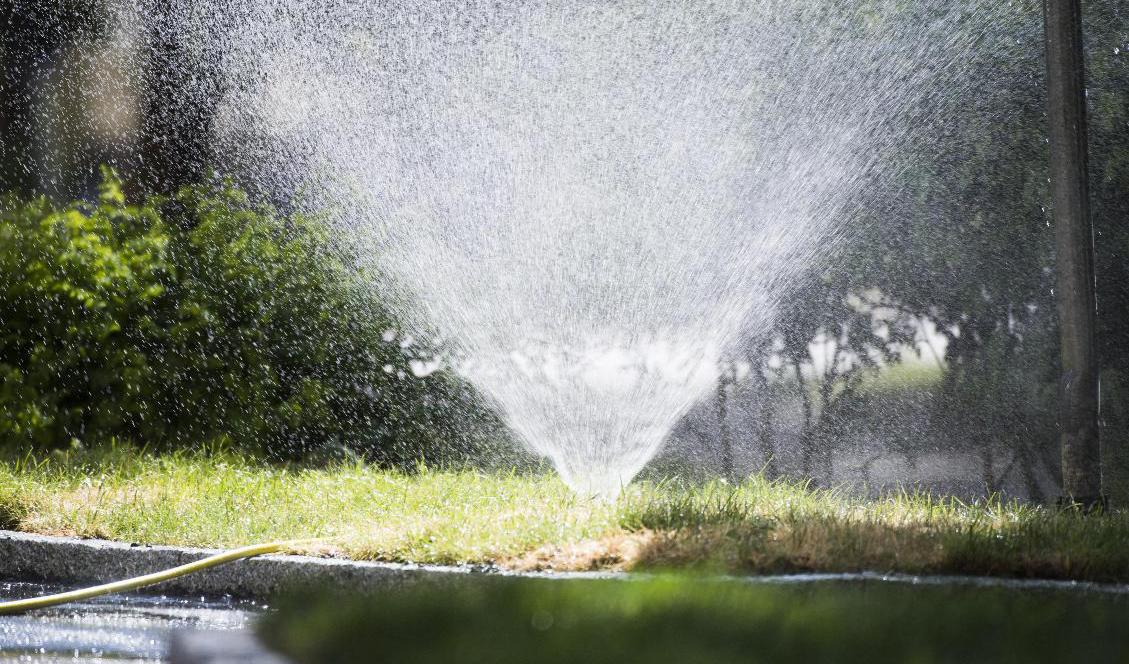 Invånarna i Bålsta och Åstorp får inte längre slösa på vattnet, till exempel vattna sina gräsmattor. Arkivbild. Foto: Fredrik Sandberg/TT