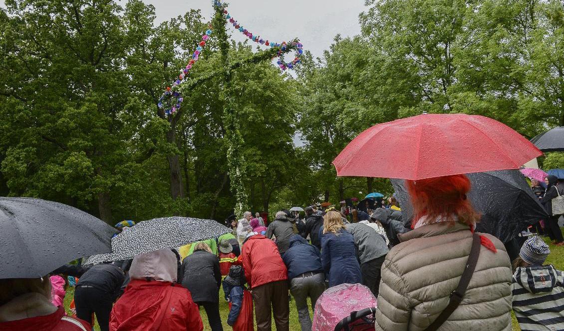 Blöt inledning på midsommardygnet i söder. Arkivbild. Foto: Jonas Ekströmer/TT
