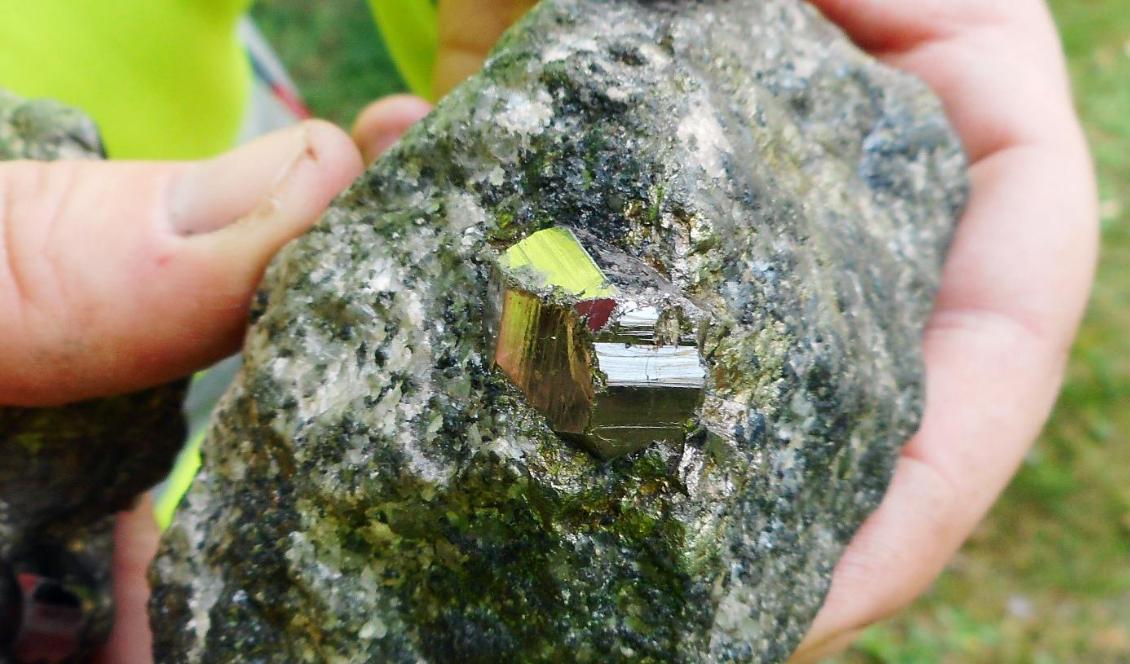 Koboltmalm från Storgruvan i Koppartorp, Bergslagen. Foto: Edine Bakker/SGU