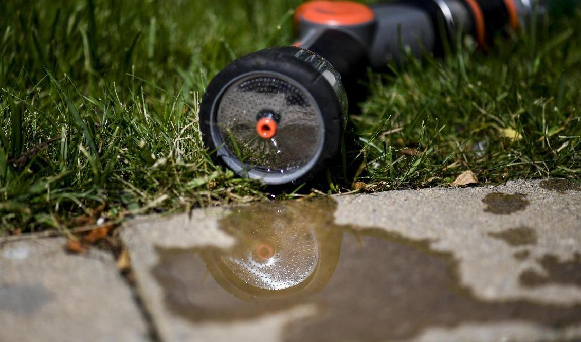 "Bevattningsförbud utfärdas ofta på orter där befolkningen ökar mycket under sommaren och när vädret är bra", säger Fredrik Vinthagen, kommunikationsstrateg på Svenskt vatten. Foto: Pontus Lundahl/TT
