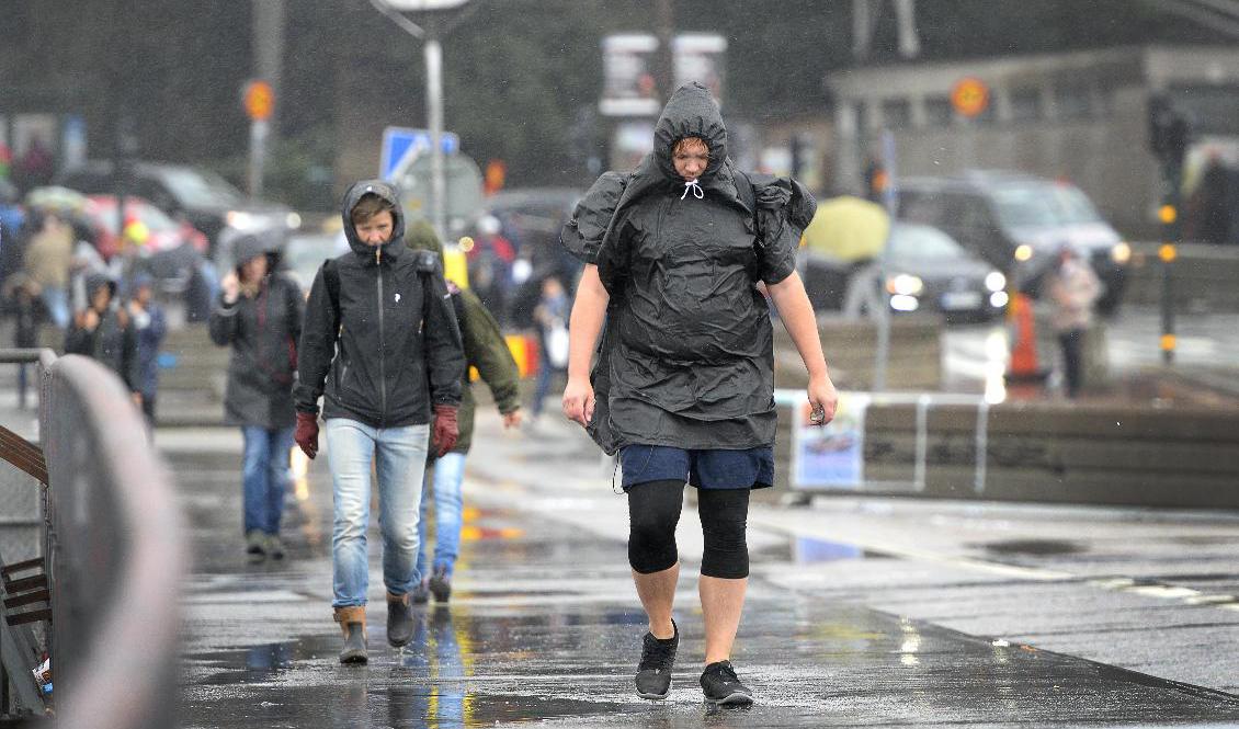 Svalt och blött väder att vänta nästa vecka. Arkivbild. Foto: Anders Wiklund/TT