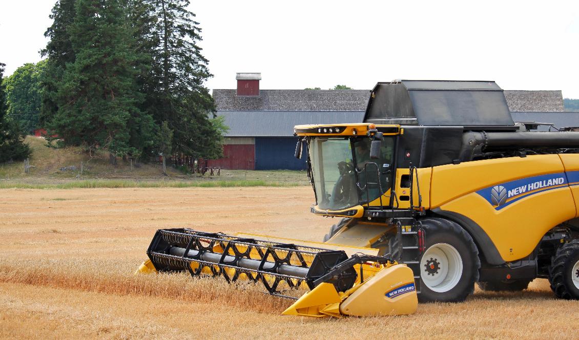 Mäns högre dödlighet, särskilt på landsbygden, orsakade minskningen i könsobalansen under 1900-talet, menar forskarna. Från 80-talet har skillnaden i dödlighet minskat mellan könen. Foto: Susanne W Lamm