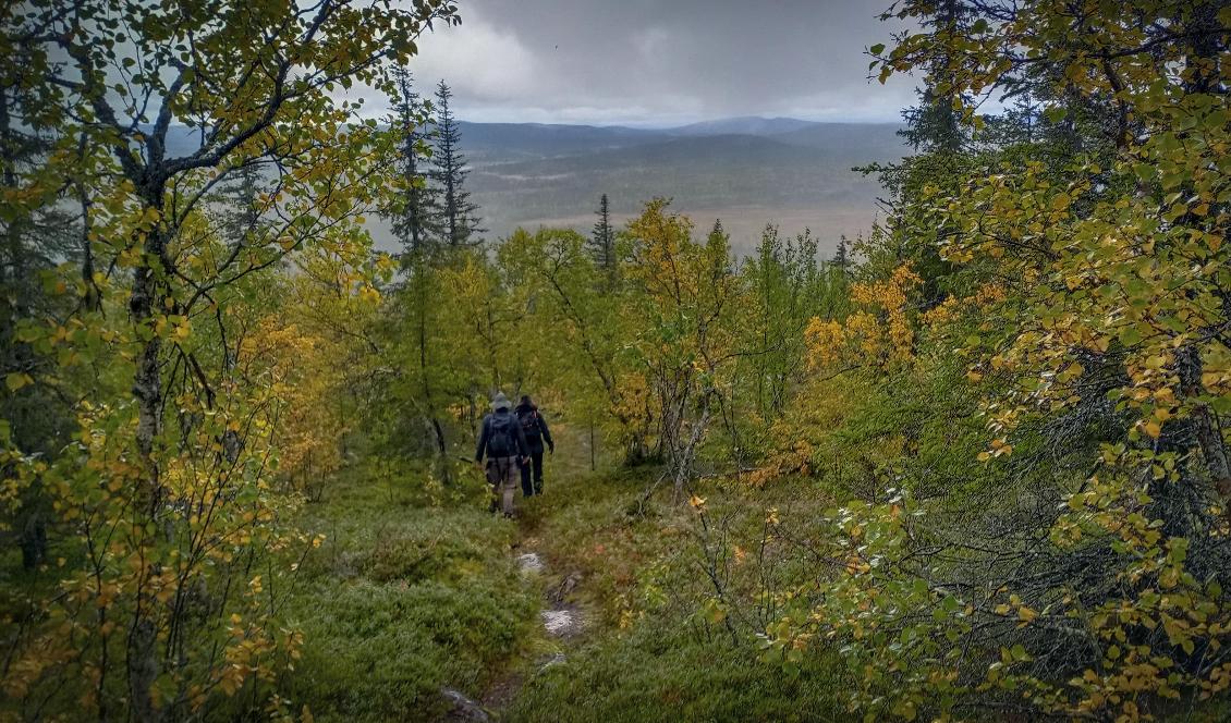 Fjällsäkerhetsrådet ger tips för en säker vandring i fjällen. Foto: Bilbo Lantto