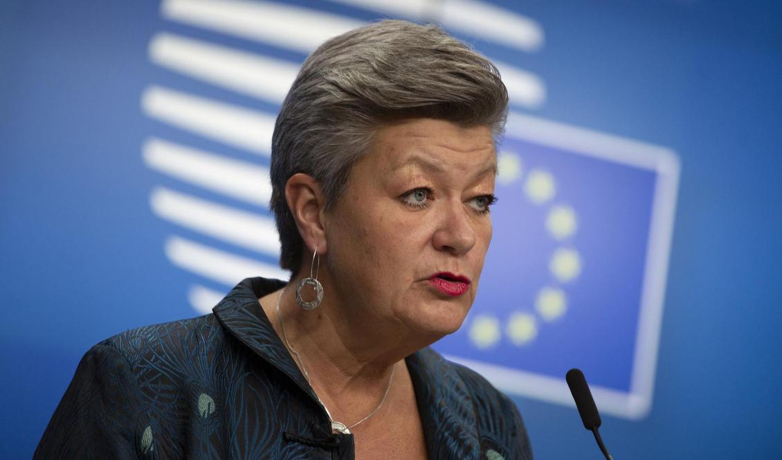 EU:s migrationskommissionär Ylva Johansson anklagar Belarus för att "använda migranter i politiska utpressningssyften". Arkivbild. Foto: Virginia Mayo/AP/TT