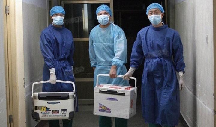 


Läkare bär på organ för transplantation på ett sjukhus i Henan-provinsen i Kina den 16 augusti 2012. Foto: Skärmdump via Sohu.com                                                                                                                                    