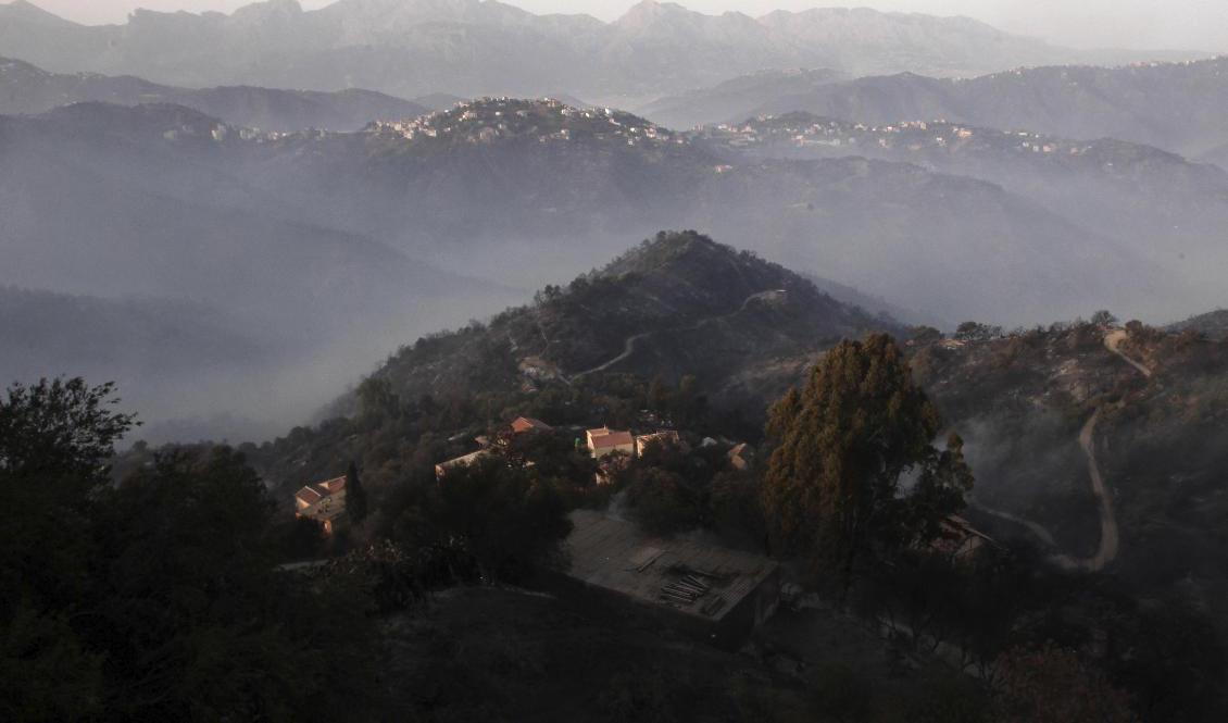Rök över branddrabbade berg i kabyliska regionen i Algeriet. Arkivbild. Foto: Fateh Guidoum/AP/TT