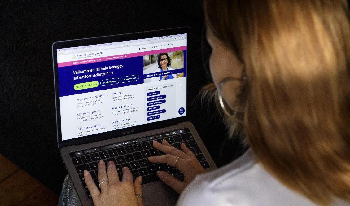 Arbetslösheten minskar, men antalet långtidsarbetslösa ökar. Arkivbild. Foto: Jessica Gow/TT