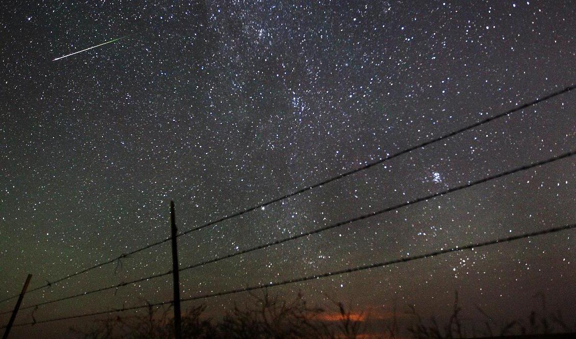Meteorregnet Perseiderna inträffar en gång per år. Arkivbild. Foto: Blaine McCartney/AP/TT