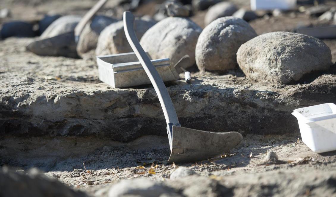Arkeologistudenter på Gotland har gjort ett mycket ovanligt fynd. Arkivbild. Foto: Fredrik Sandberg/TT