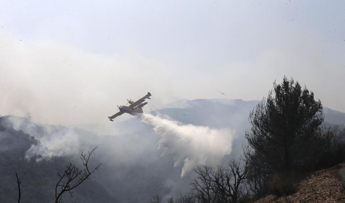 Ett franskt brandbekämpningsplan dumpar vatten över en brand nära den algeriska byn Toudja i Kabylien-regionen den 13 augusti. Foto: Toufik Doudou/AP/TT