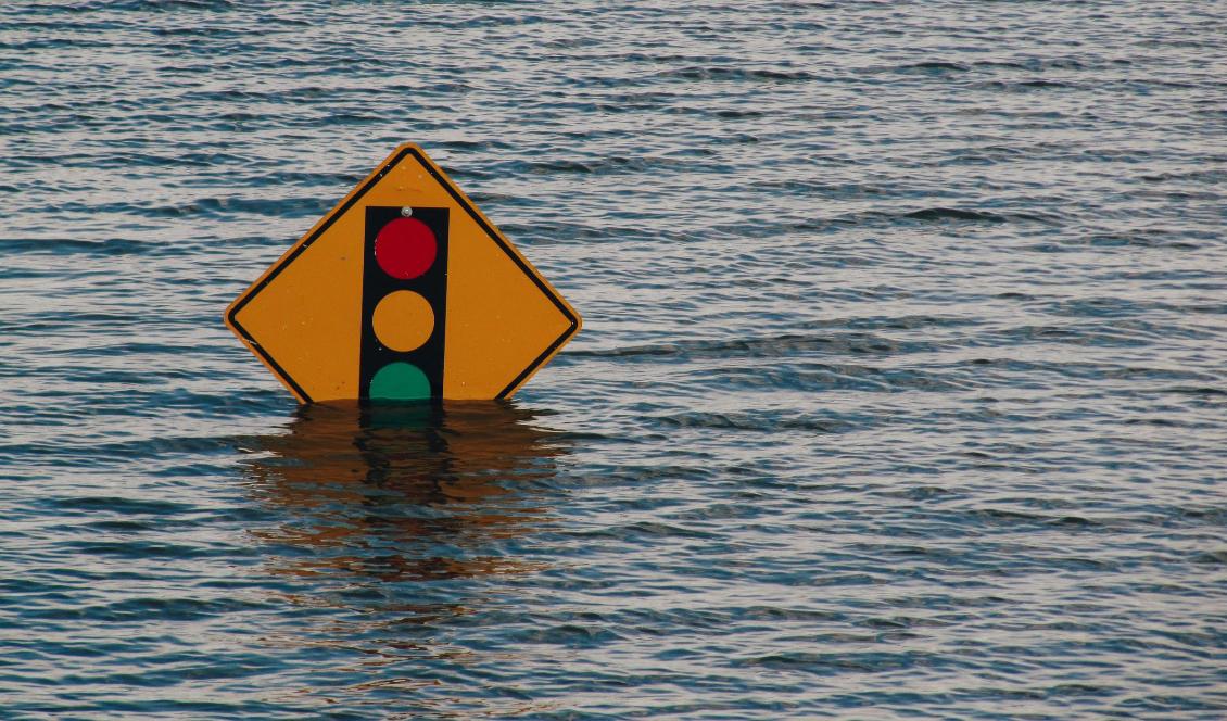 Klimatåtgärderna behöver beslutsamhet på grund av de omfattande konsekvenserna. Foto: Kelly Sikkema