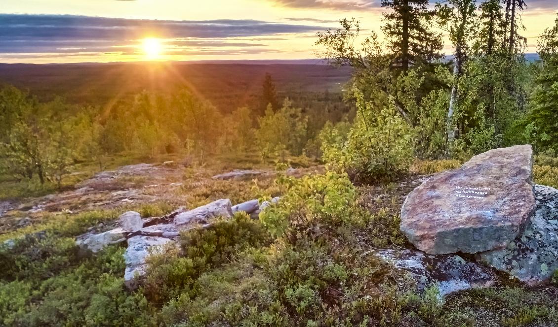För många blev skogen  ett alternativ till stadens parker under pandemin. Foto: Bilbo Lantto