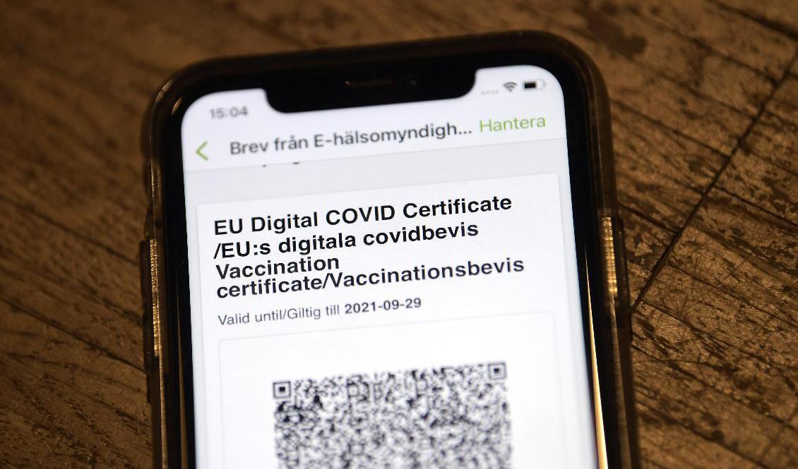 Vaccinationsbevis för att gå på konsert kan vara en bra idé, anser vissa riksdagspartier. Arkivbild. Foto: Janerik Henriksson/TT