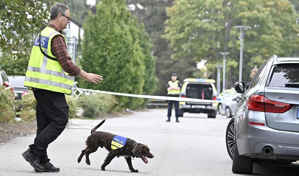 Polisen letar med hundar efter bevis efter nattens dödsskjutning. Foto: Mikael Fritzon/TT