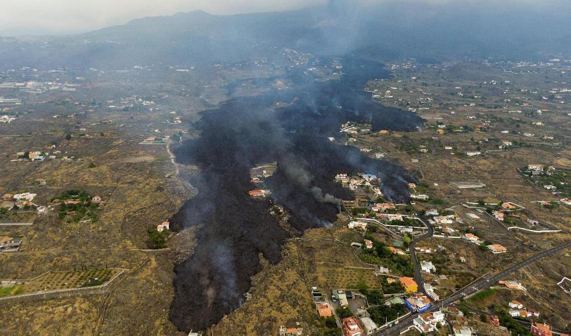 Tusentals personer har evakuerats på grund av den flödande lavan på kanarieön La Palma. Foto: Emilio Morenatti/AP/TT
