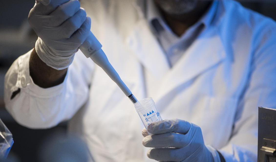 Forskare söker sig bort redan nu, enligt SUHF som vill se ett permanent undantag i utlänningslagen för gruppen. Arkivbild. Foto: Fredrik Sandberg/TT