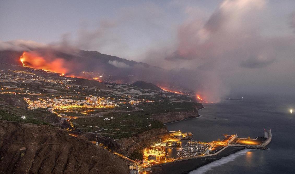 Lava flödar ned för vulkanen på kanarieön La Palma. Arkivbild. Foto: Saul Santos/AP/TT