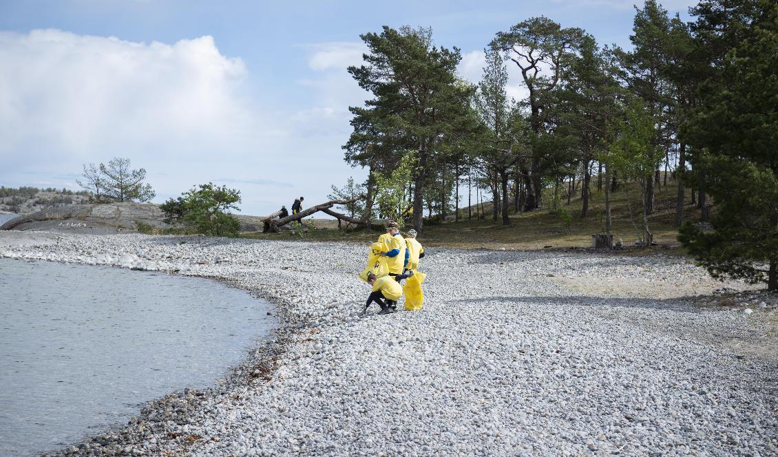 Städa Sverige städar en strand i Nynäshamn. Foto: Josefin Warg/Städa Sverige