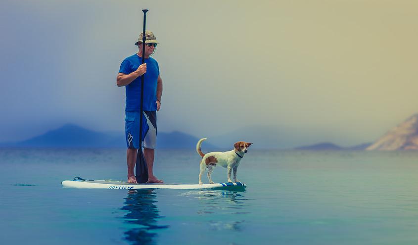 Många vill dela sina semesterminnen med sin fyrfota vän. Foto: Pixabay