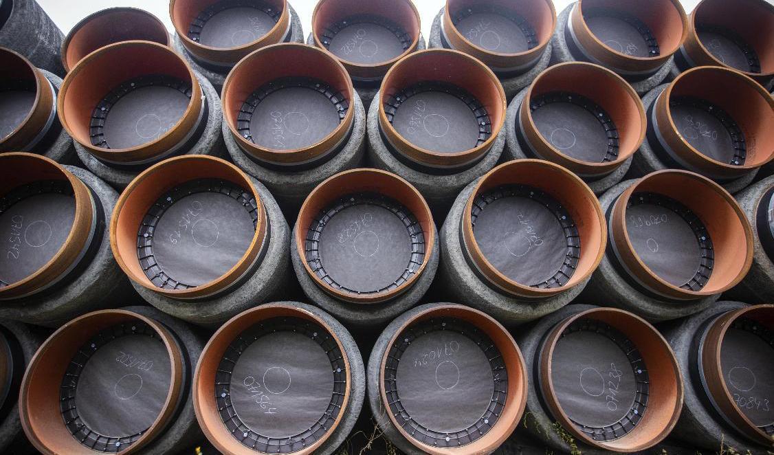 Pipor till gasledningen Nordstream 2 i tyska Mukran under byggtiden. Arkivbild. Foto: Jens Buettner/AP/TT