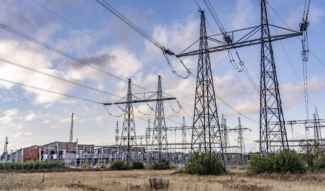 Regeringen vill effektivisera elanvändningen. Arkivbild. Foto: Johan Nilsson/TT