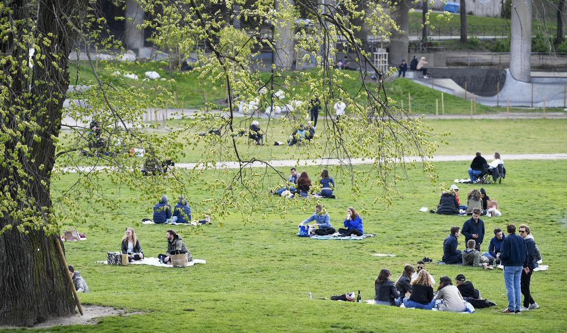 Att ha nära tillgång till ett grönområde är viktigt för hälsan. Arkivbild. Foto: Henrik Montgomery/TT