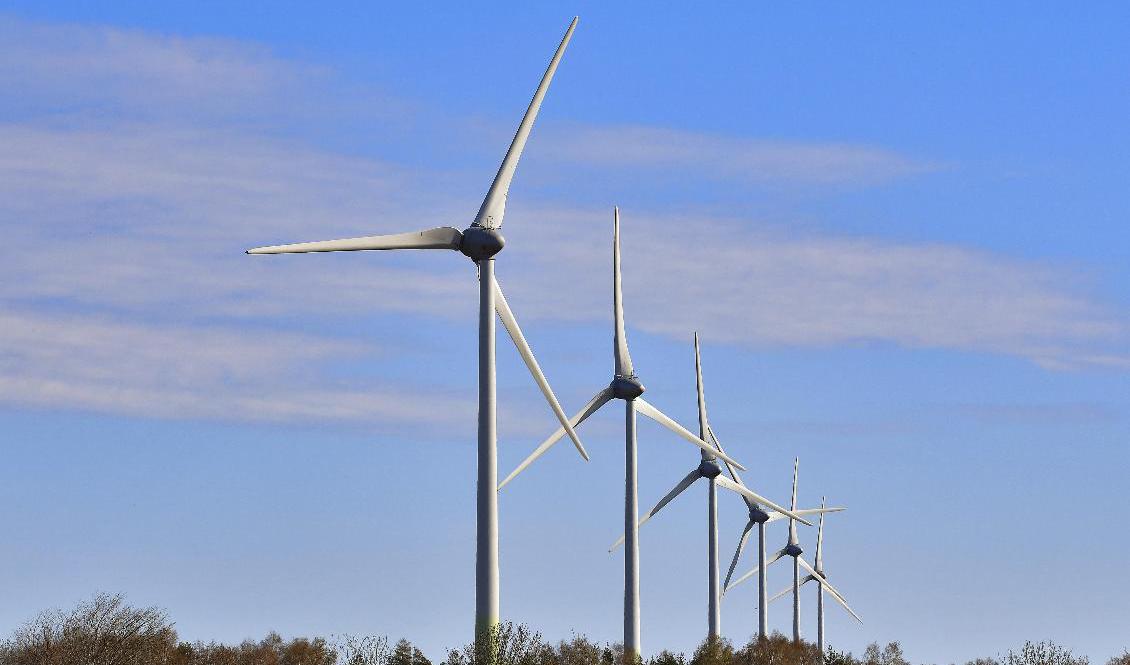 Mycket vind gav minuspriser på el förra helgen. Arkivbild. Foto: Jonas Ekströmer / TT