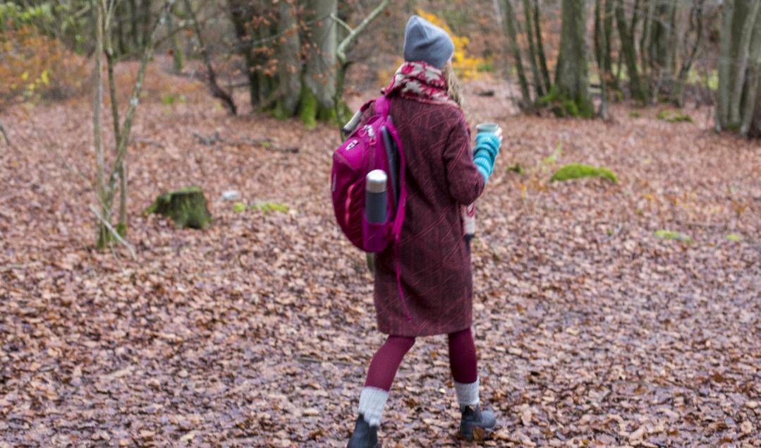 Hösten börjar på några håll i landet att övergå i vinter temperaturmässigt. Arkivbild. Foto: Martina Holmberg/TT
