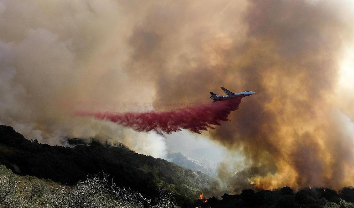 Ett brandbekämpningsflyg släpper sin last över Alisalbranden i Kalifornien. Foto: Ringo HW Chiu/AP/TT