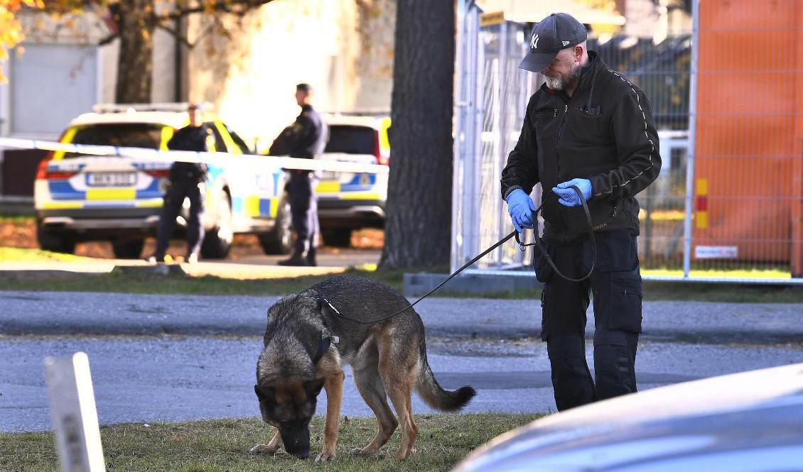En polishund i arbete på den plats i Jordbro där en man blivit skjuten i armen. Foto: Claudio Bresciani/TT