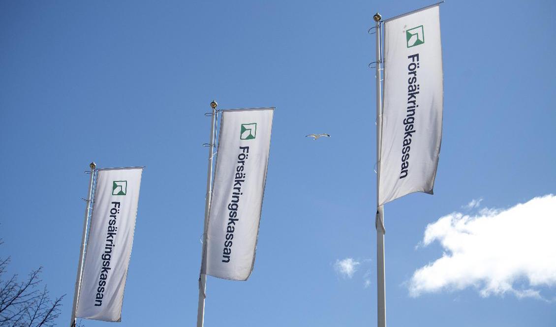 Försäkringskassan kräver att en man betalar tillbaka nära 1,5 miljoner kronor. Arkivbild. Foto: Jessica Gow/TT