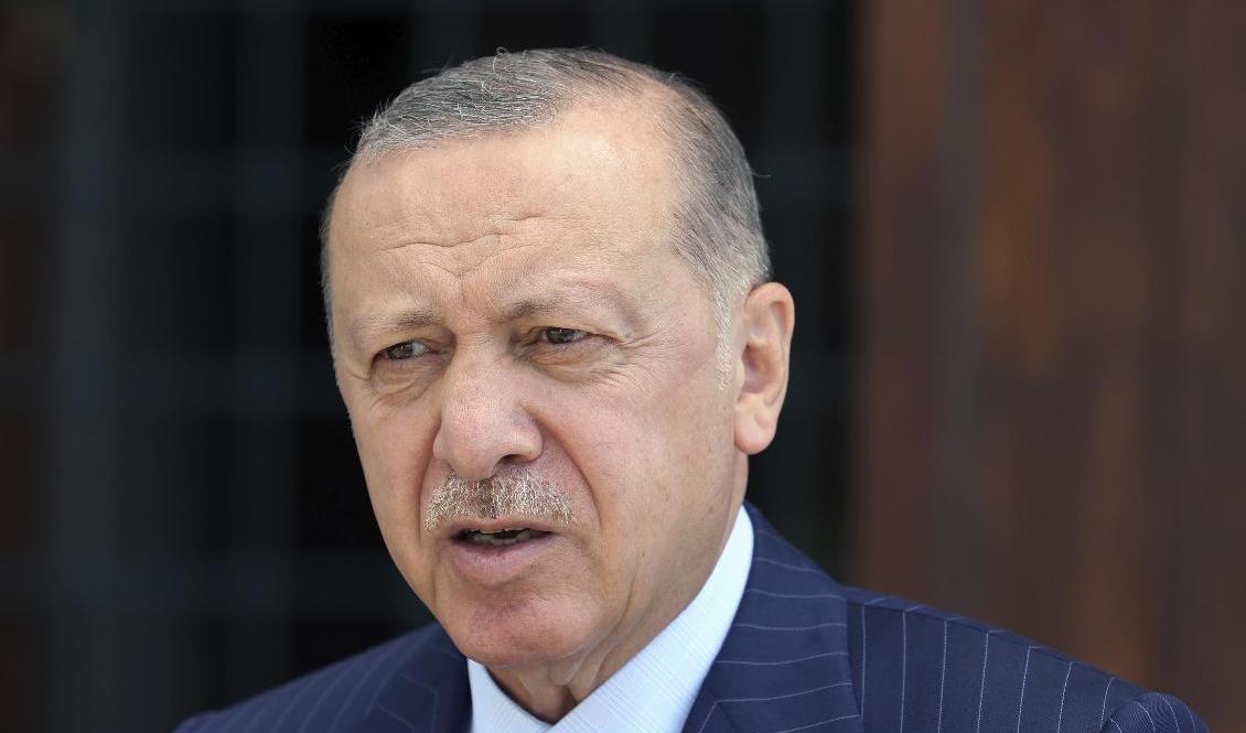 Turkiets president Recep Tayyip Erdogan hotar att utvisa Sveriges och nio andra länders ambassadörer.  Arkivbild.