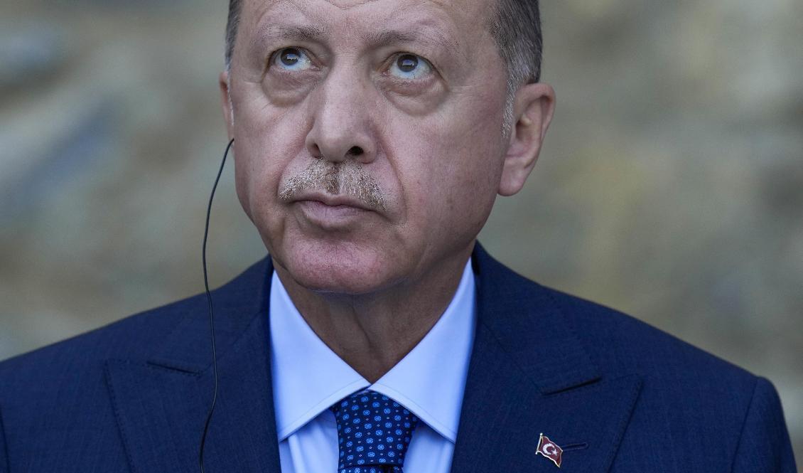 Turkiets president Recep Tayyip Erdogan. Arkivbild. Foto: Francisco Seco/AP/TT