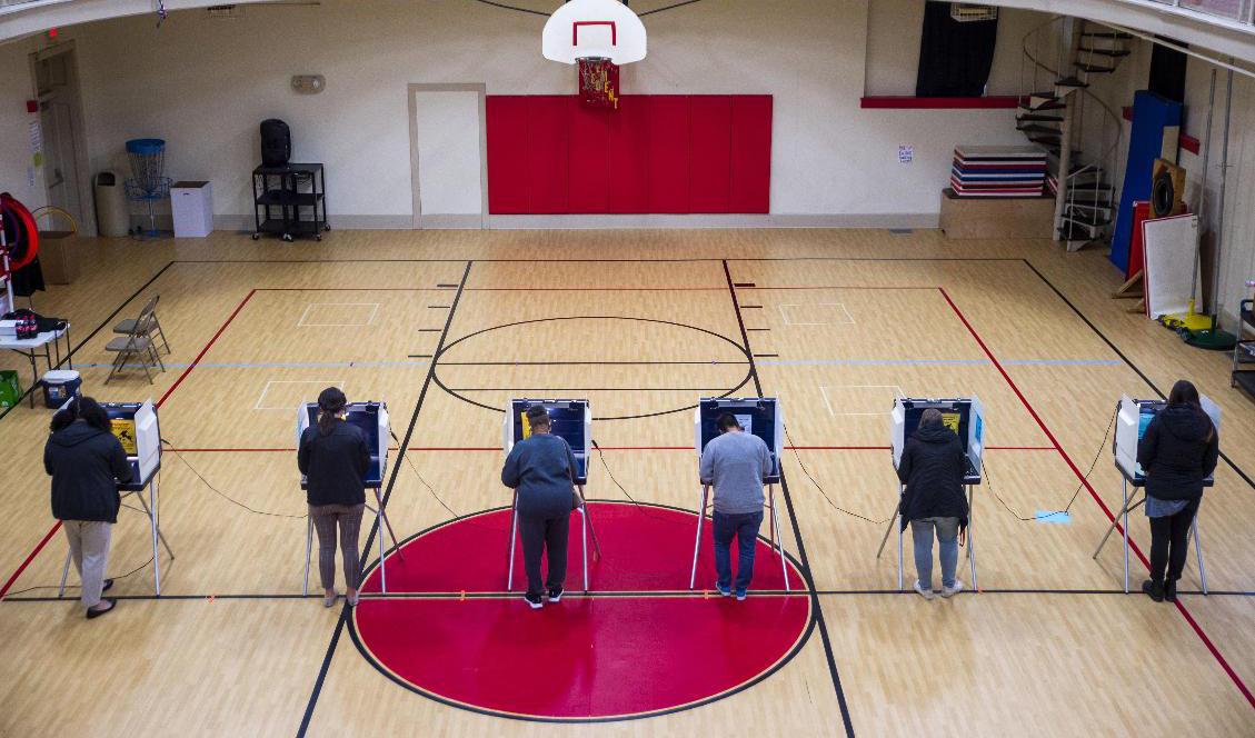 Röster fylls i vid en skola i Virginia. Foto: Kendall Warner/AP/TT