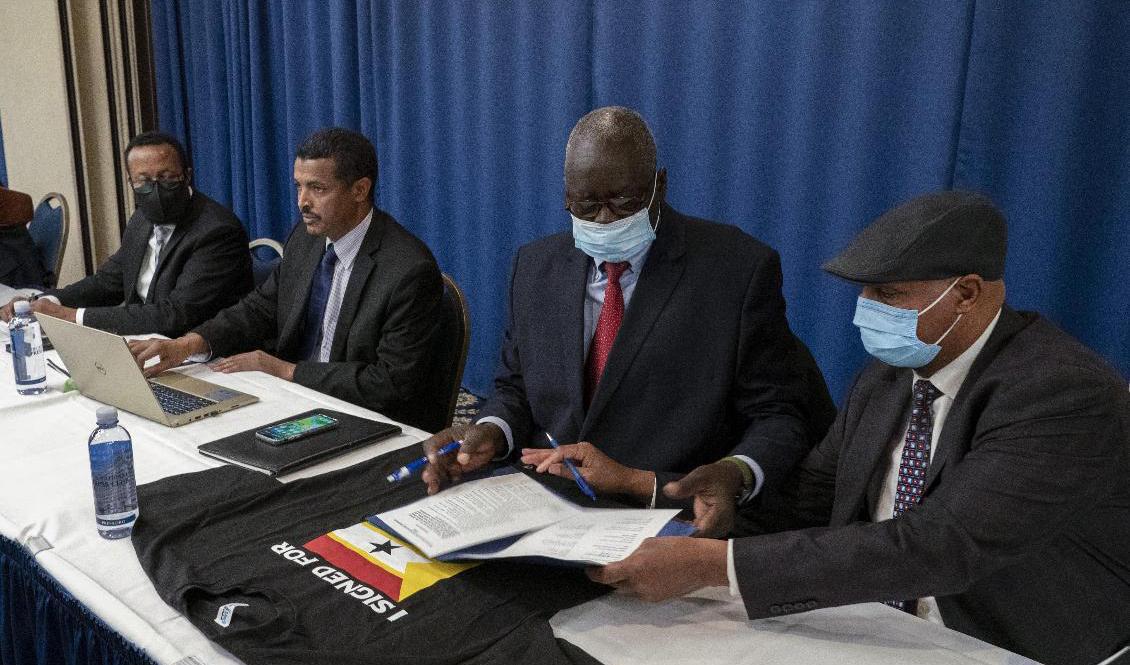 Nio motståndsgrupper i Etiopien skrev under en uppgörelse om samarbete för att störta regeringen i Addis Abeba. Foto: Gemunu Amarasinghe/AP/TT