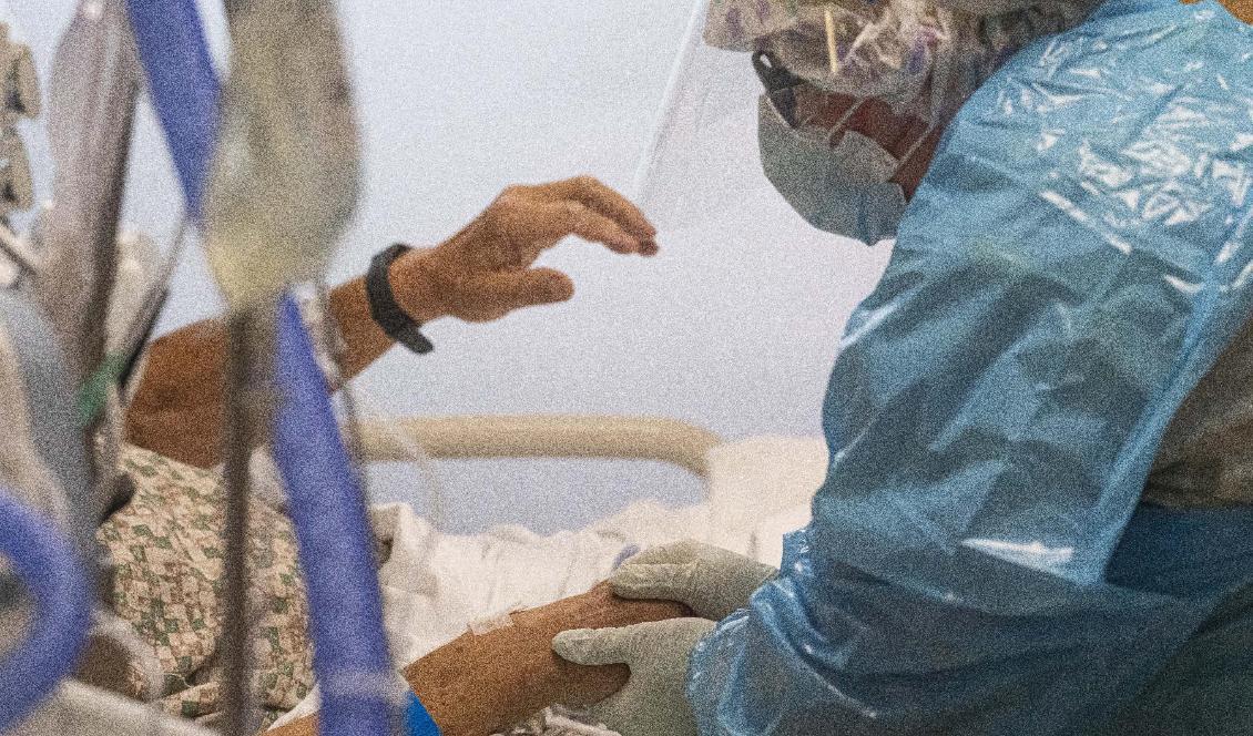 

En sköterska hjälper en patient på ett sjukhus i delstaten Oregon i USA. En ny studie visar att en vanlig blodtrycksmedicin kan hjälpa vid covid-19. Foto: Nathan Howard/Getty Images                                                                                        
