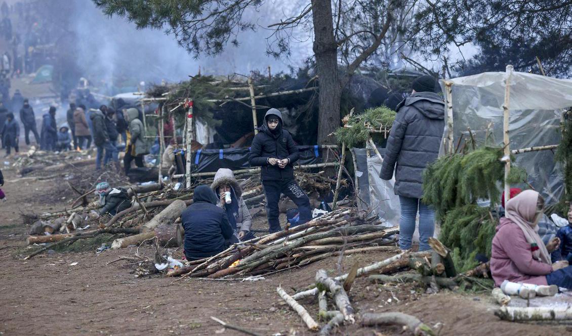 Tusentals migranter befinner sig vid gränsen mellan Belarus och Polen. Omständigheterna är svåra, flera migranter har dött enligt hjälporganisationer. Foto: Oksana Manchuk/AP/TT